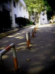 PB112065.JPG