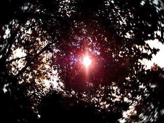 PB112066.JPG