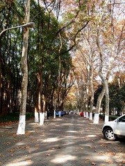 PB232214.JPG