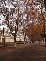 PB272236.JPG