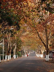 PB272240.JPG