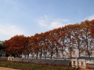 PC012336.JPG