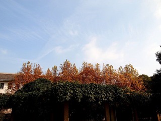 PC012354.JPG