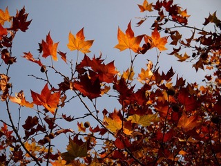 PC012357.JPG