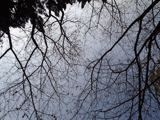 PC012361.JPG