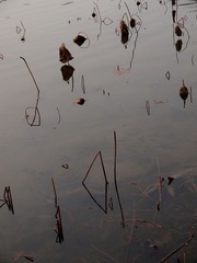 PC312515.JPG