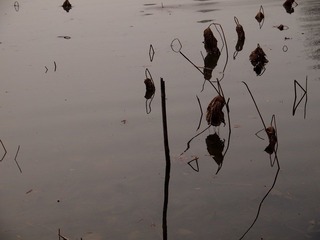 PC312518.JPG