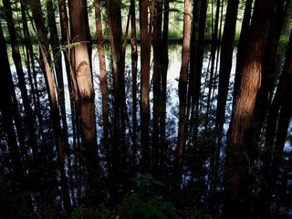 P6024187.jpg