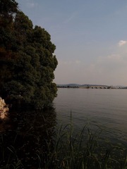 P6024247.jpg