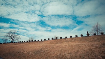 P1280113