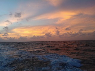 WP_000444
