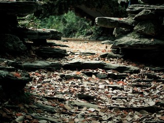 P4046895.jpg