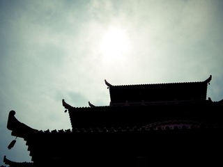P5057235.jpg