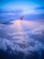 P7308213