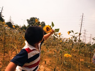 P9148300