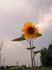 P9148298