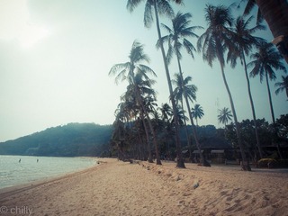 P2090451