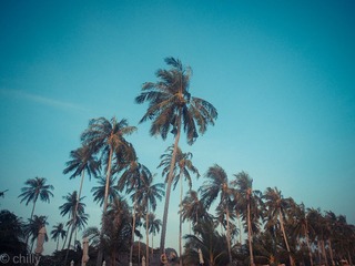 P2080117