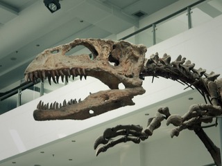 P3090146