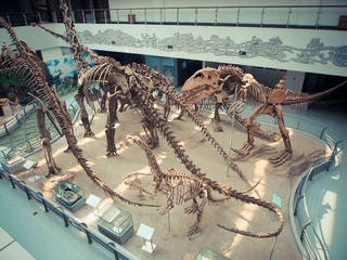 P3090170