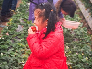 P2230083