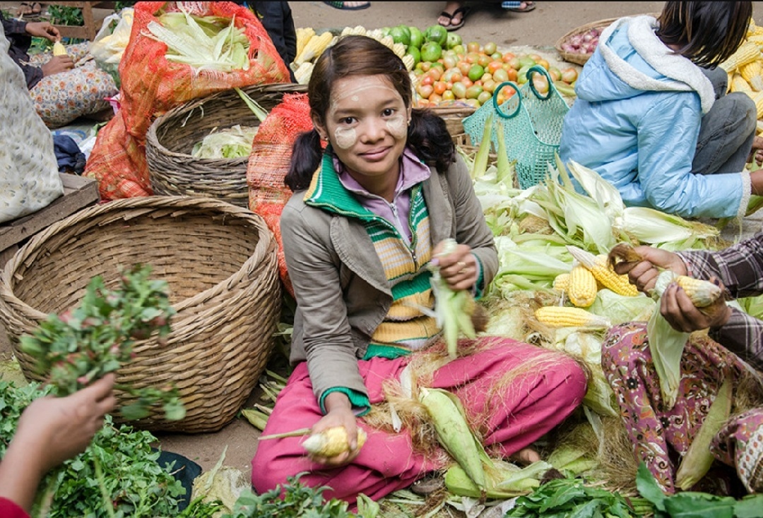 缅甸菜市场系列