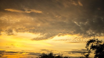 _DSC1125_1