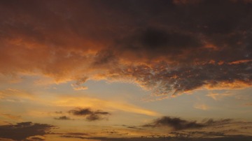 _DSC1137