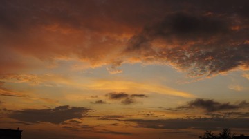 _DSC1140