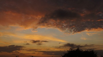_DSC1143
