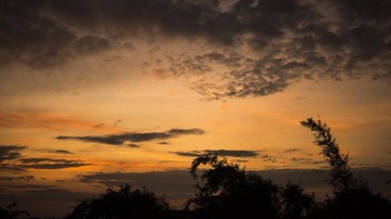 _DSC1173_1