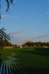 1644357