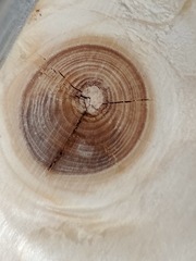 1000072295