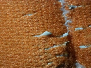 11016