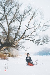 独钓寒江雪