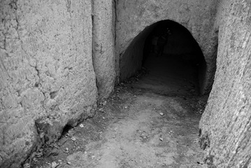 DSC_1298.jpg