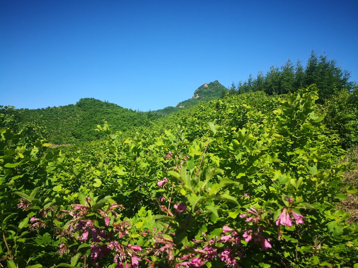 大东北我美丽的家乡一个让我魂牵梦绕的地方内心深处最真实的渴望心灵