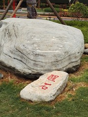 1621355