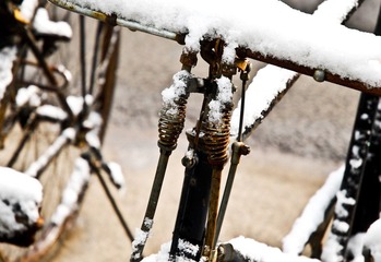 _DSC2475.jpg