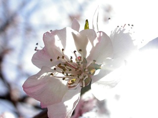 DSCN6093.jpg