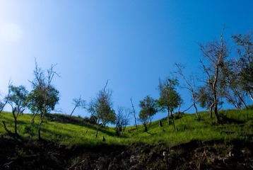 _DSC0018.jpg