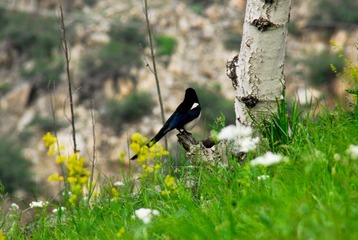 _DSC0022.jpg