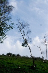 _DSC00024.jpg