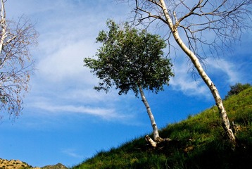 _DSC0025.jpg