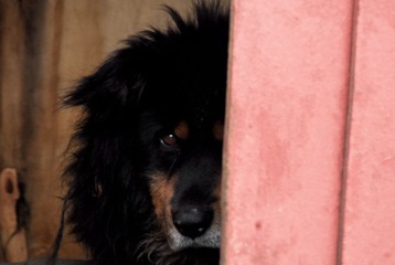 _DSC00026.jpg