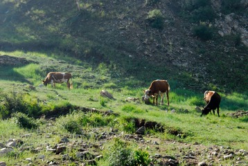_DSC00051.jpg