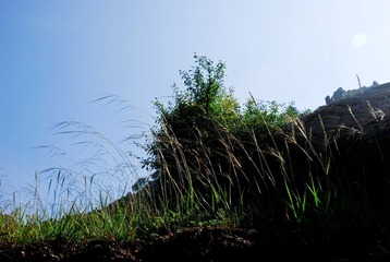 _DSC0101.jpg