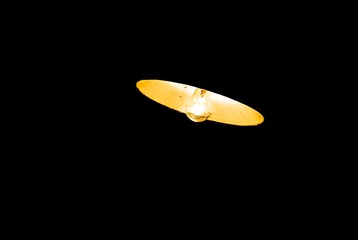 _DSC0300.jpg
