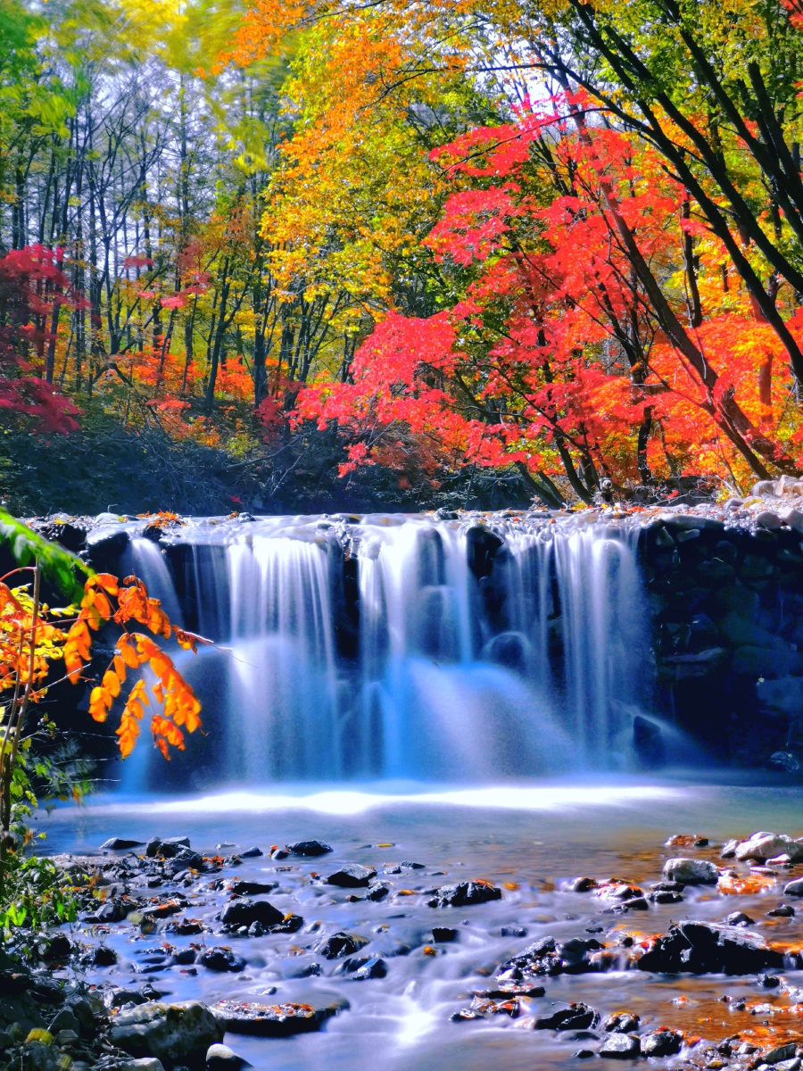 秋色红叶丝绢流水