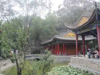 IMG_0571.JPG